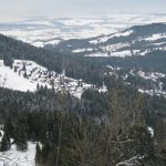 Webcam Les Paccots Live